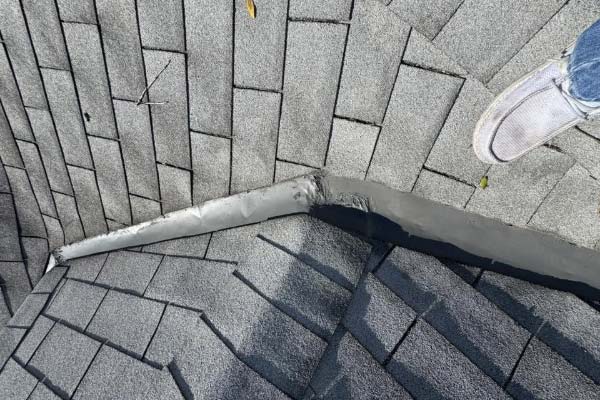 Roof Rejuvenation Services